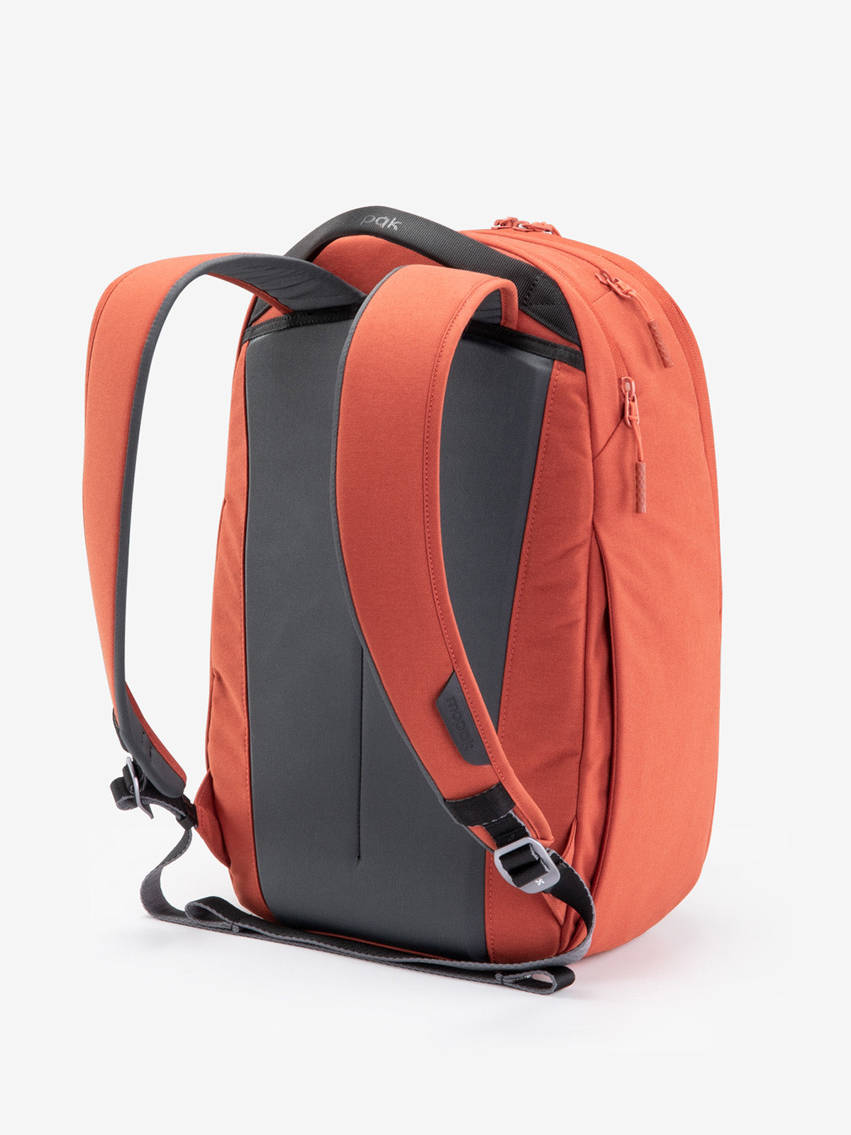 City Adventurer Backpack